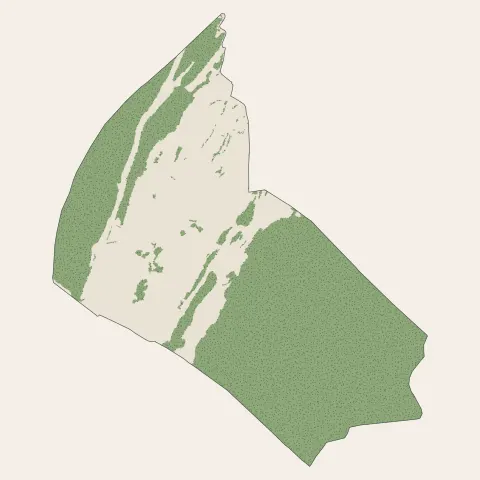 Bellignat : bois, forêts et landes
