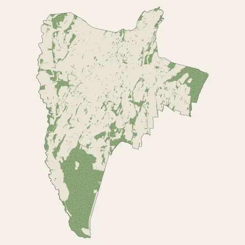 Belley : bois, forêts et landes