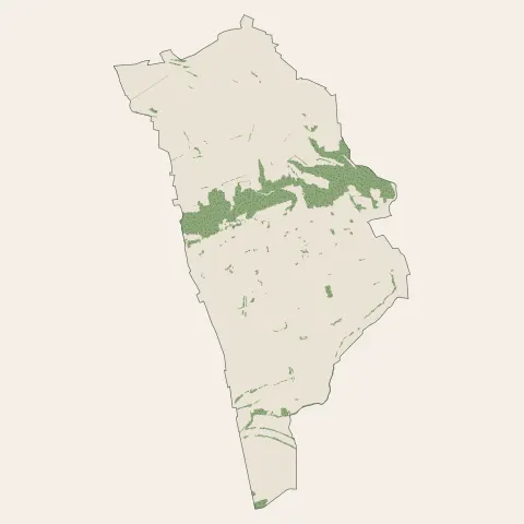 Beynost : bois, forêts et landes