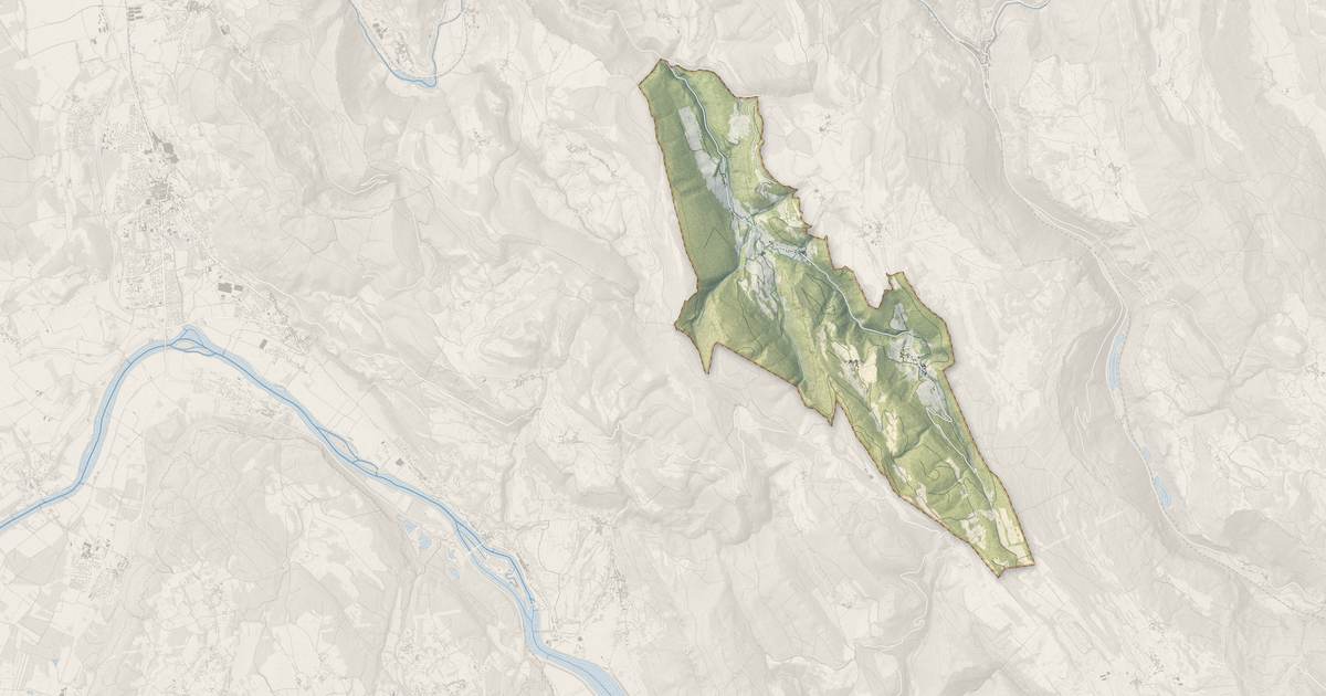 Portrait cartographique de Conand : relief, eau, forêts, bâti et voies, calculés à partir des données de l'IGN