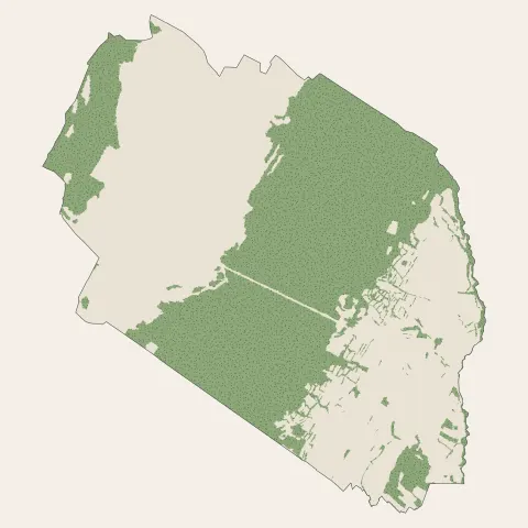 Crozet : bois, forêts et landes