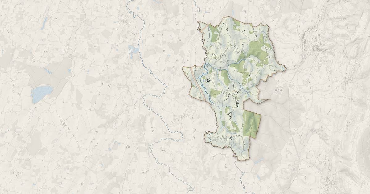 Portrait cartographique de Domsure : relief, eau, forêts, bâti et voies, calculés à partir des données de l'IGN