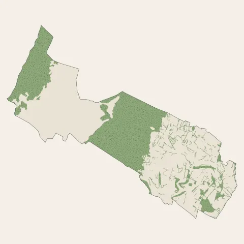 Échenevex : bois, forêts et landes