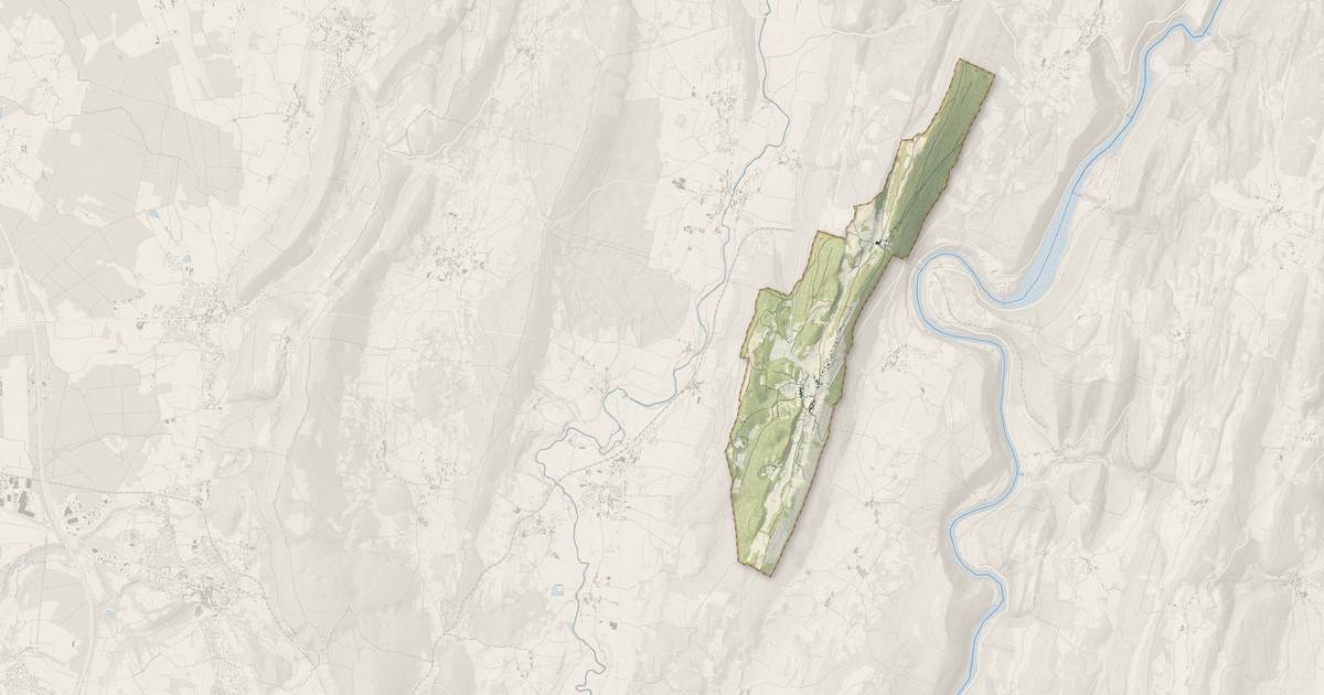 Portrait cartographique de Grand-Corent : relief, eau, forêts, bâti et voies, calculés à partir des données de l'IGN