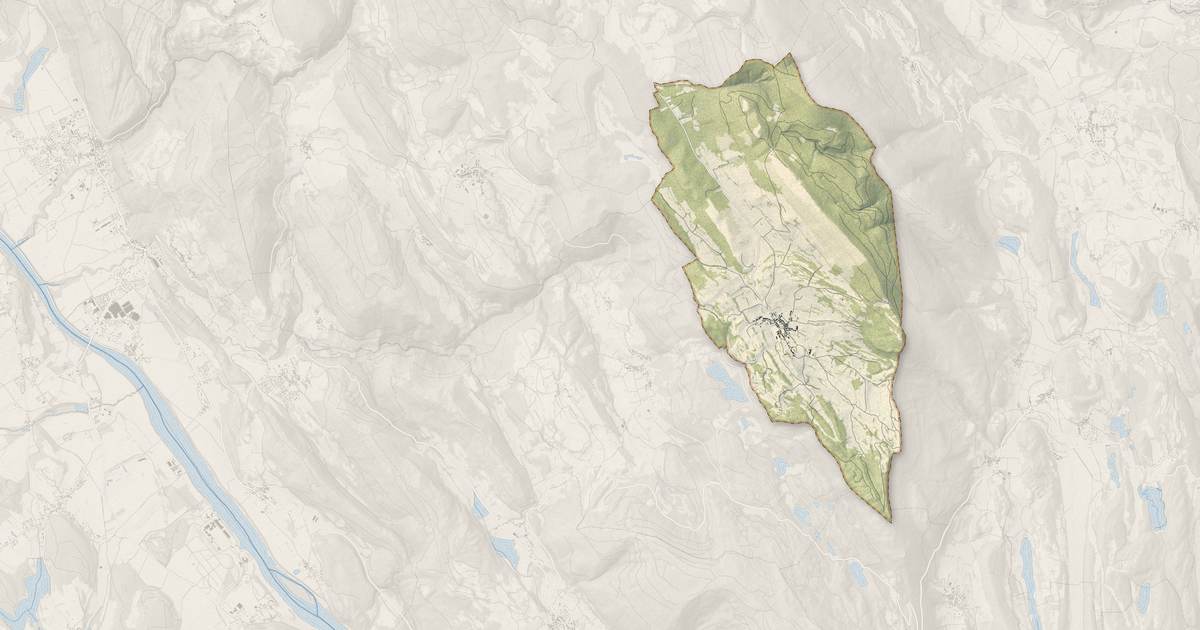 Portrait cartographique de Innimond : relief, eau, forêts, bâti et voies, calculés à partir des données de l'IGN