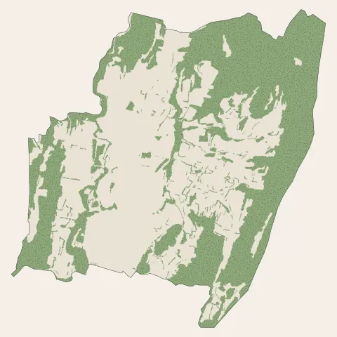 Izernore : bois, forêts et landes