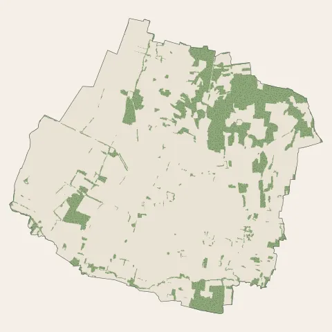 Manziat : bois, forêts et landes