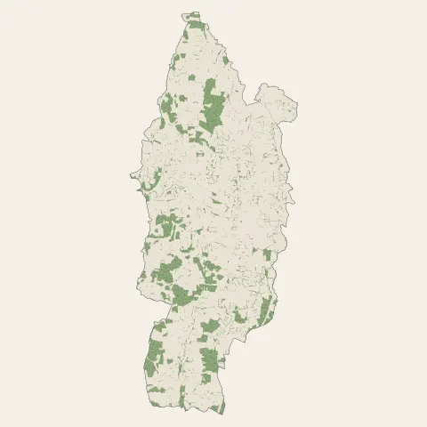 Marboz : bois, forêts et landes