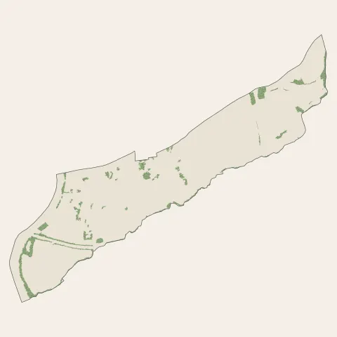 Massieux : bois, forêts et landes