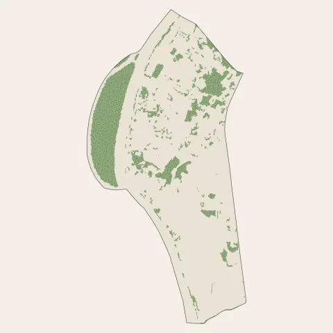Montmerle-sur-Saône : bois, forêts et landes