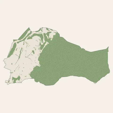 Montréal-la-Cluse : bois, forêts et landes