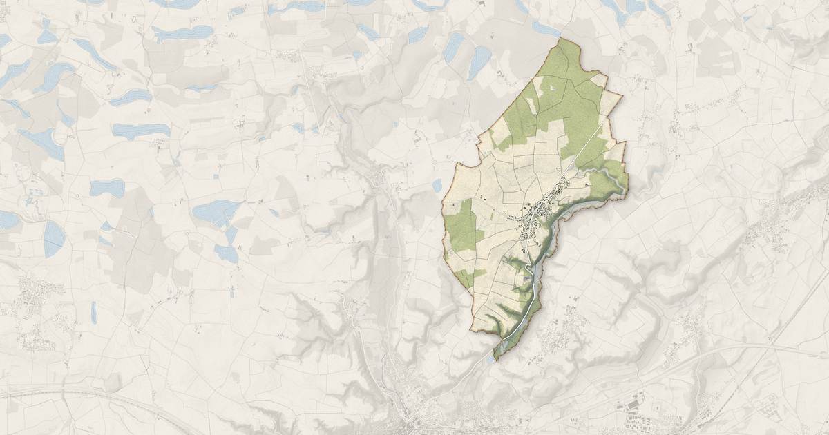 Portrait cartographique de Pizay : relief, eau, forêts, bâti et voies, calculés à partir des données de l'IGN