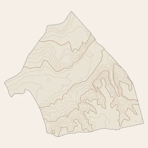 Saint-Didier-de-Formans : courbes de niveau