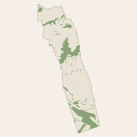 Saint-Maurice-de-Beynost : bois, forêts et landes
