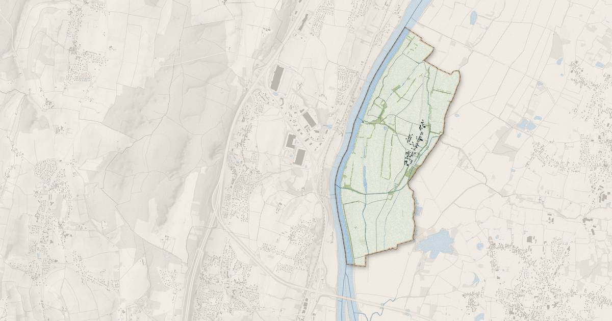 Portrait cartographique de Vésines : relief, eau, forêts, bâti et voies, calculés à partir des données de l'IGN
