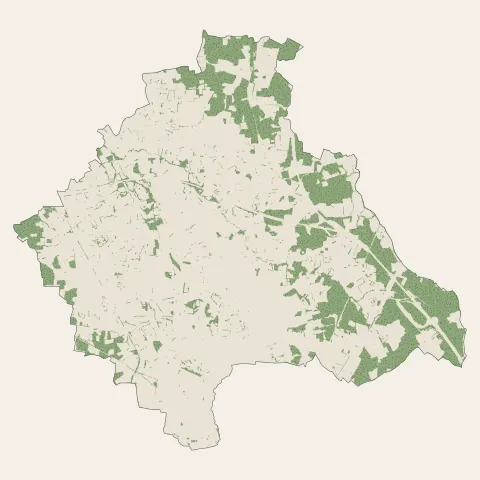 Viriat : bois, forêts et landes