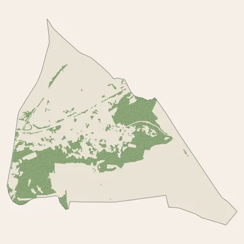 Belleu : bois, forêts et landes