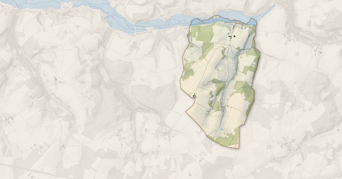Portrait cartographique de Bussiares : relief, eau, forêts, bâti et voies, calculés à partir des données de l'IGN