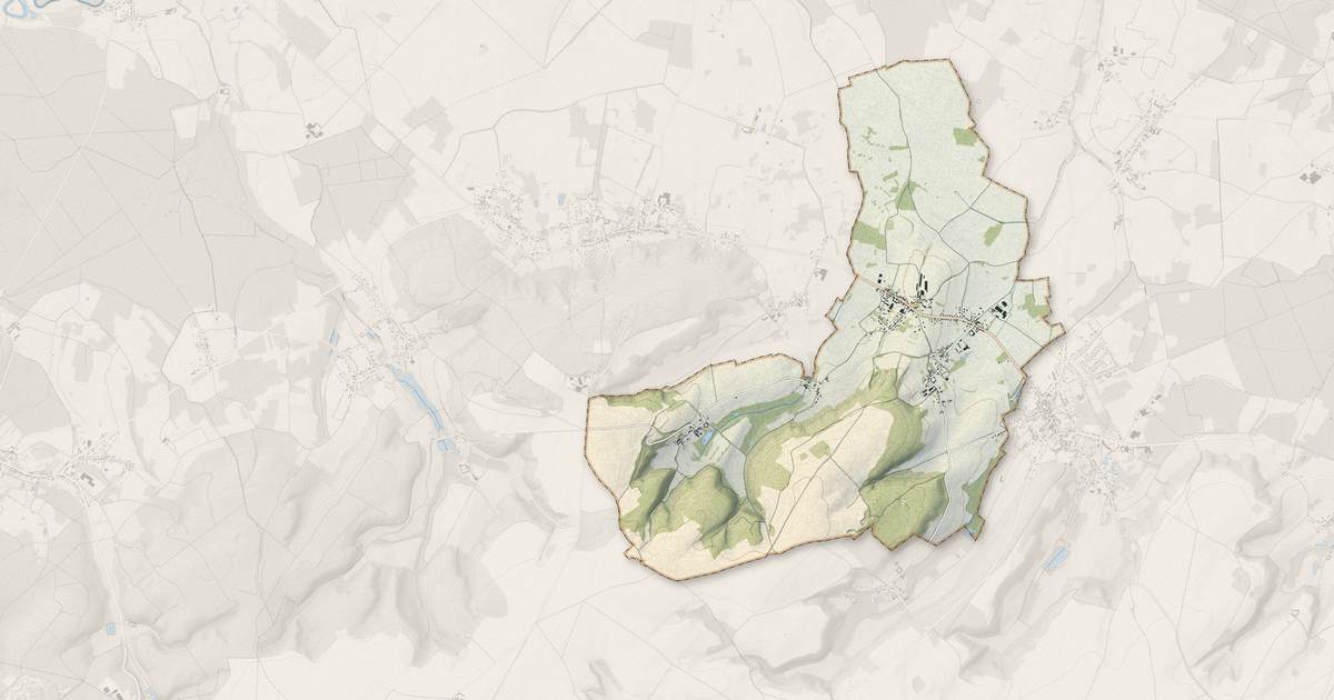 Portrait cartographique de Camelin : relief, eau, forêts, bâti et voies, calculés à partir des données de l'IGN