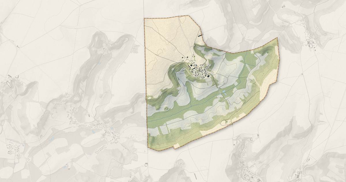 Portrait cartographique de Chavigny : relief, eau, forêts, bâti et voies, calculés à partir des données de l'IGN