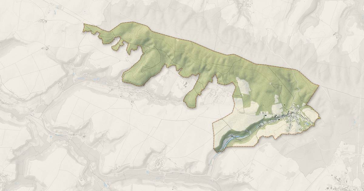Portrait cartographique de Haramont : relief, eau, forêts, bâti et voies, calculés à partir des données de l'IGN
