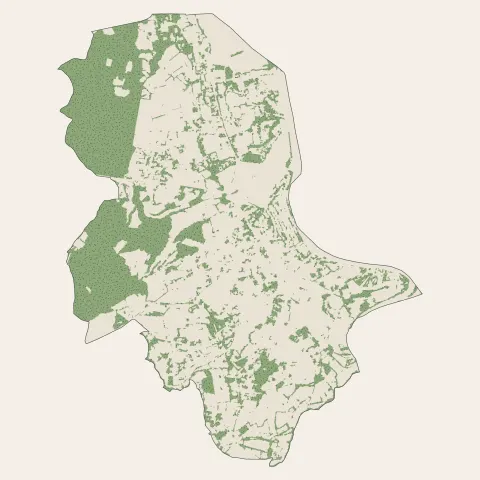 Bellerive-sur-Allier : bois, forêts et landes