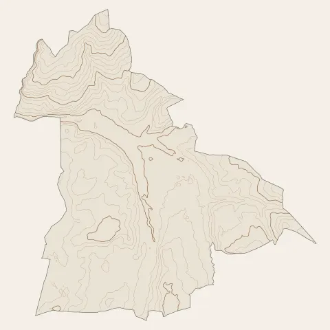 Cosne-d'Allier : courbes de niveau