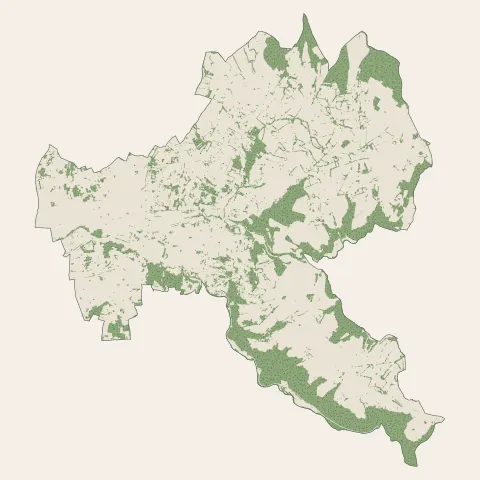 Cusset : bois, forêts et landes