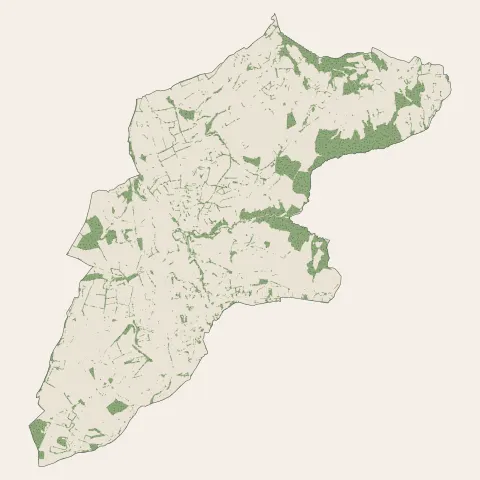 Lapalisse : bois, forêts et landes