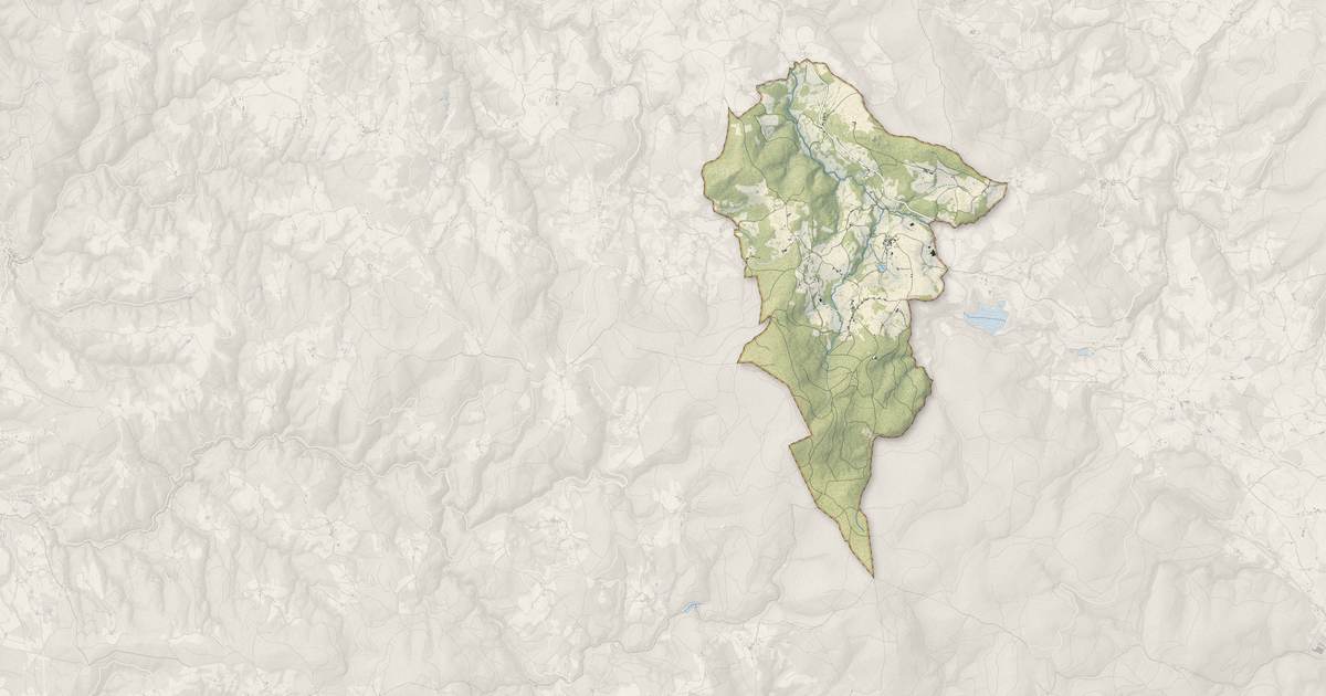 Portrait cartographique de Lavoine : relief, eau, forêts, bâti et voies, calculés à partir des données de l'IGN