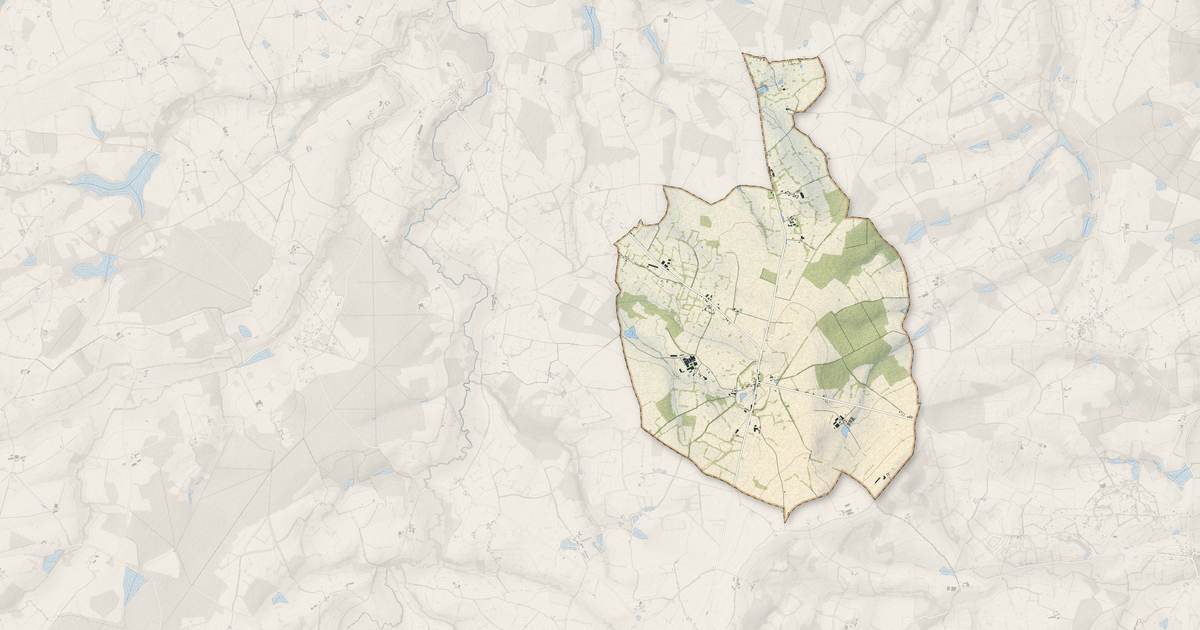 Portrait cartographique de Limoise : relief, eau, forêts, bâti et voies, calculés à partir des données de l'IGN