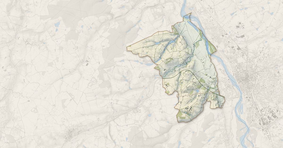 Portrait cartographique de Neuvy : relief, eau, forêts, bâti et voies, calculés à partir des données de l'IGN