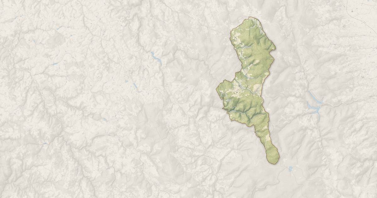 Portrait cartographique de Saint-Nicolas-des-Biefs : relief, eau, forêts, bâti et voies, calculés à partir des données de l'IGN