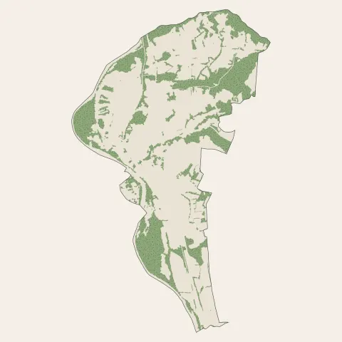 Saint-Yorre : bois, forêts et landes