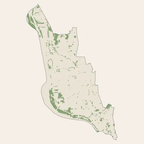 Vichy : bois, forêts et landes