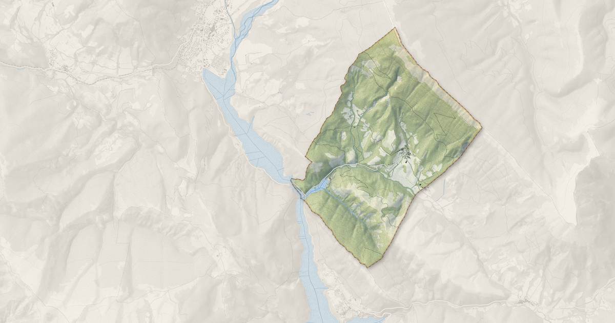 Portrait cartographique de Angles : relief, eau, forêts, bâti et voies, calculés à partir des données de l'IGN
