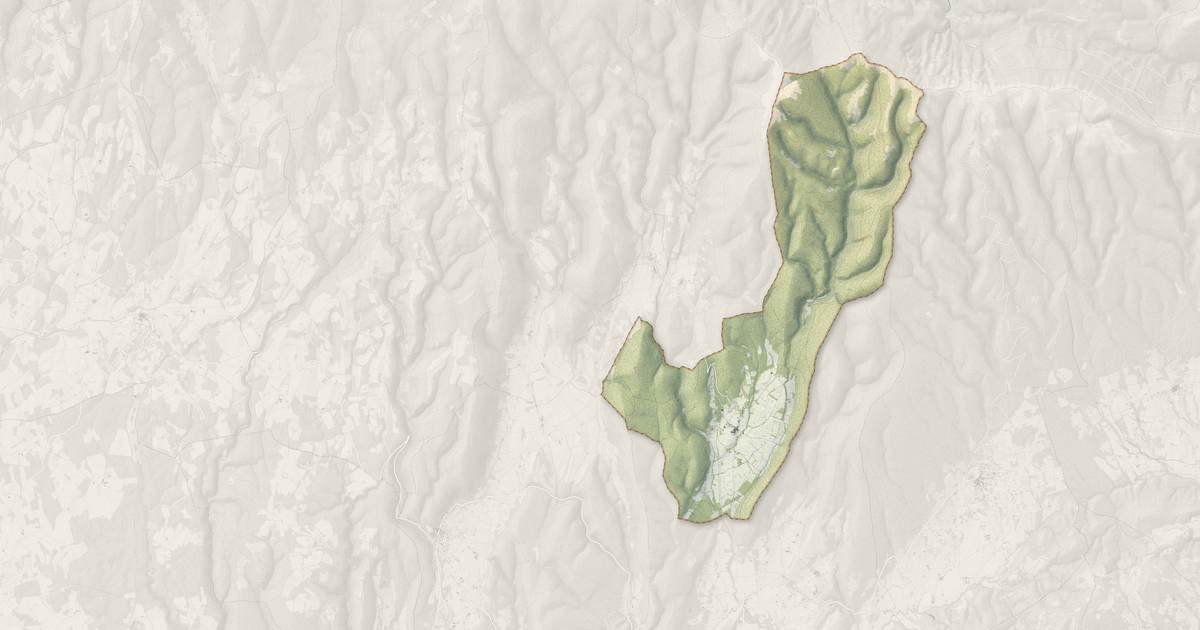 Portrait cartographique de Lardiers : relief, eau, forêts, bâti et voies, calculés à partir des données de l'IGN