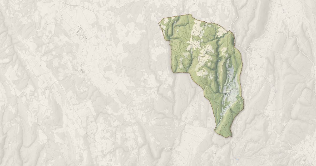 Portrait cartographique de Montsalier : relief, eau, forêts, bâti et voies, calculés à partir des données de l'IGN