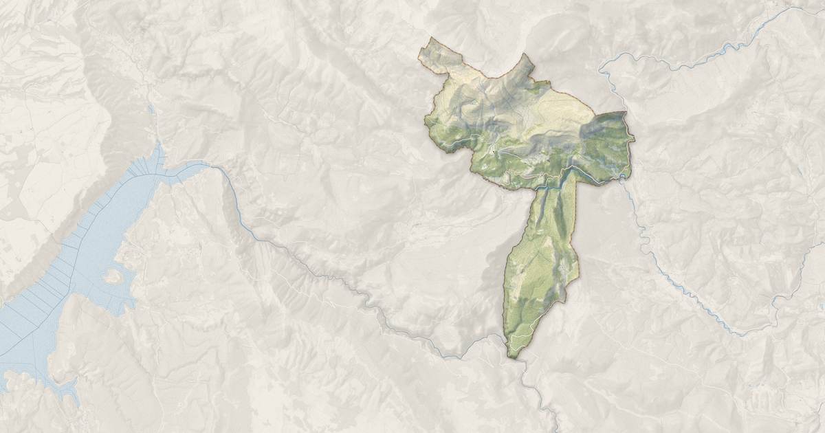 Portrait cartographique de Rougon : relief, eau, forêts, bâti et voies, calculés à partir des données de l'IGN