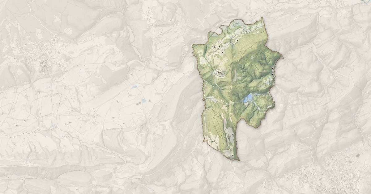 Portrait cartographique de Saint-Martin-les-Eaux : relief, eau, forêts, bâti et voies, calculés à partir des données de l'IGN