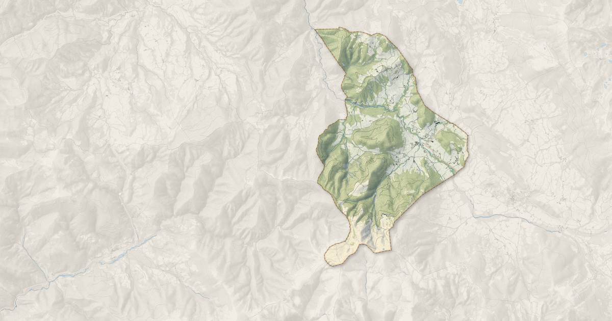 Portrait cartographique de Selonnet : relief, eau, forêts, bâti et voies, calculés à partir des données de l'IGN