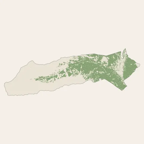 L'Argentière-la-Bessée : bois, forêts et landes