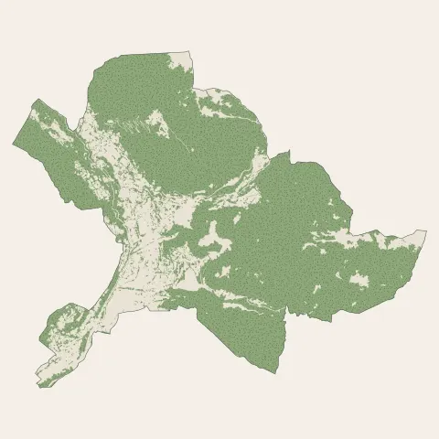 Briançon : bois, forêts et landes