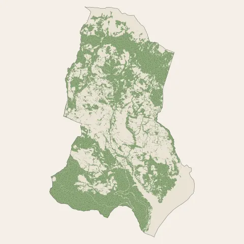 Chorges : bois, forêts et landes