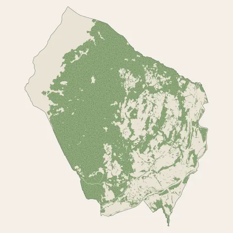 Embrun : bois, forêts et landes