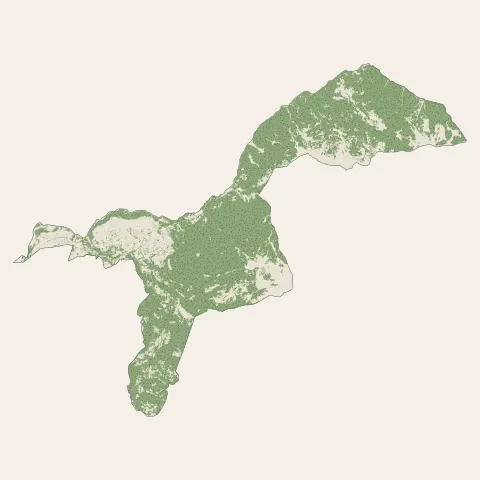 Guillestre : bois, forêts et landes