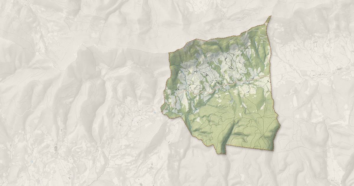 Portrait cartographique de Ribeyret : relief, eau, forêts, bâti et voies, calculés à partir des données de l'IGN