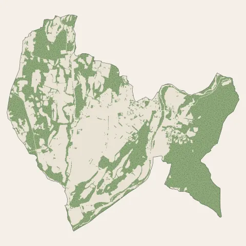 Tallard : bois, forêts et landes