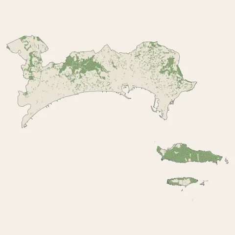 Cannes : bois, forêts et landes