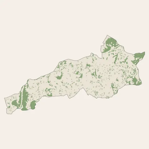 Le Cannet : bois, forêts et landes